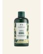 Moringa Shampoo