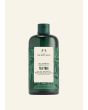 Tea Tree Purifying & Balancing Shampoo